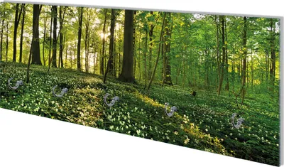 Produktbild von Wallario Flurgarderobe Wandgarderobe aus Glas, mit 5 Haken, Größe 80 x 30 cm, Motiv Waldanemonen und Sonnenstrahlen im Wald