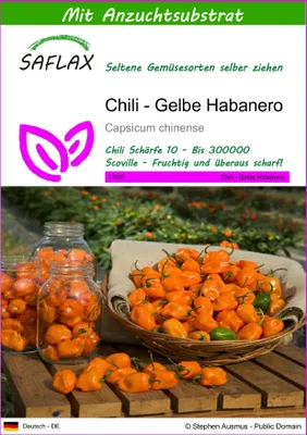 Produktbild von SAFLAX - Chili - Gelbe Habanero - 10 Samen - Mit keimfreiem Anzuchtsubstrat - Capsicum chinense