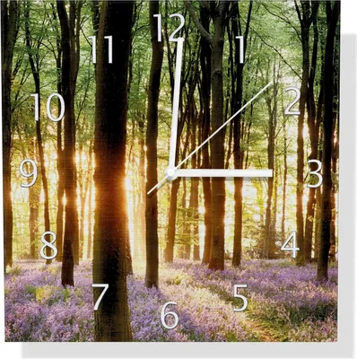 Produktbild von Wallario Design Wanduhr Blaue Hasenglöckchen im Wald mit Sonnenstrahlen aus Aluverbund, Größe 30 x 30 cm