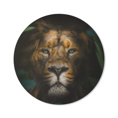 Produktbild von MuchoWow® Mauspad Mousepad Tiere - Löwe - Wilde Tiere 40x40 cm - Mousepads - Maus Mat - Pad - Mausunterlage - Schreibtisch Accessoires