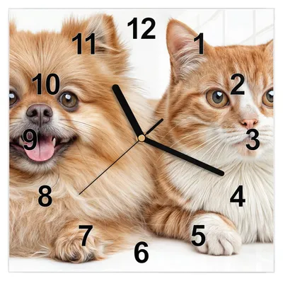Produktbild von Wanduhr aus Glas mit Motiv Hund und Katze- 30 x 30 cm - inkl. Aufhängesystem