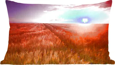 Produktbild von MuchoWow® Zierkissen Sofakissen Wohnzimmer Dekokissen 60x40 cm Wiese - Sonne - Abend - Landschaft - Kopfkissen - Polster mit Foto