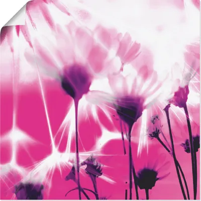 Produktbild von ARTland Poster Pusteblume abstrakt Größe: 70x70 cm