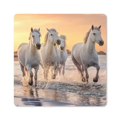 Produktbild von MuchoWow® Mauspad Mousepad Pferde - Sonne - Meer - Strand - Tiere 20x20 cm - Mousepads - Maus Mat - Pad - Mausunterlage - Desk Mat - Bureauartikeln