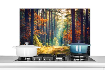 Obrázok produktu pre MuchoWow® Splashback Kuchyňa - Kuchynský backsplash - Ochrana steny pre sporák a drez Les - Slnko - Príroda - Jeseň 80x55cm Alu-Dibond (alternatíva k