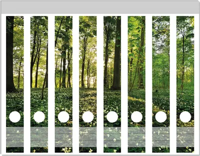 Produktbild von Wallario Ordnerrücken Sticker, selbstklebend für schmale Ordner, 8 Stück, Motiv Waldanemonen und Sonnenstrahlen im Wald