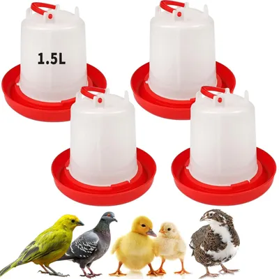Image de Abreuvoirs pour poussins, 1,5 litre, lot de 4, à suspendre, pour volailles