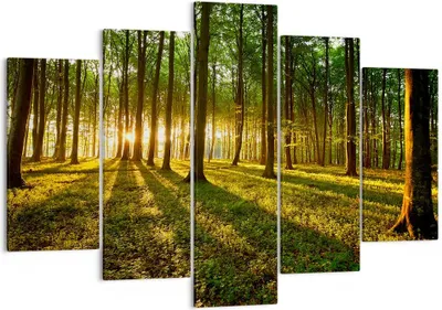 Produktbild von Bild auf Leinwand - Leinwandbild - Wald grün Sonnenstrahlen Natur - 150x100cm - Wand Bild - Wanddeko - Leinwanddruck - Bilder - Kunstdruck - Leinwand bilder - Wandkunst - EA150x100-2510