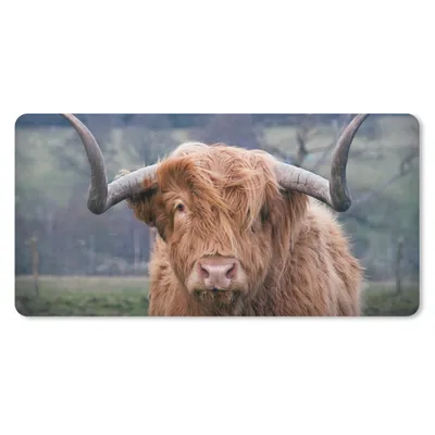 Produktbild von MuchoWow® Mauspad Mousepad Schottischer Highlander - Hörner - Berg 60x30 cm - Mousepads - Maus Mat - Pad - Mausunterlage - Nachhaltig