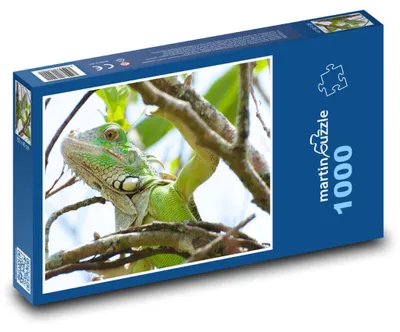 Produktbild von Puzzle 1000 Leguan im Regenwald - martinpuzzle