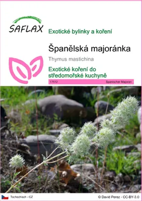 Obrázek produktu pro SAFLAX - Španělská majoránka - Thymus mastichina - 250 Semena