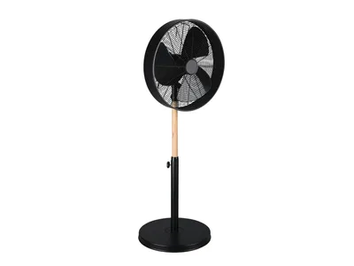 A black and wood stand fan is shown against a white background.