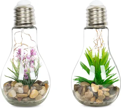 Produktbild von 2er Set Sukkulenten Glühbirne Im Glas B x H: 8 x 19 cm LED Warmweiß Pflanze