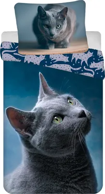 Produktbild von JERRY FABRICS Pościel bawełniana Dark Cat, 140/200, 70/90 cm