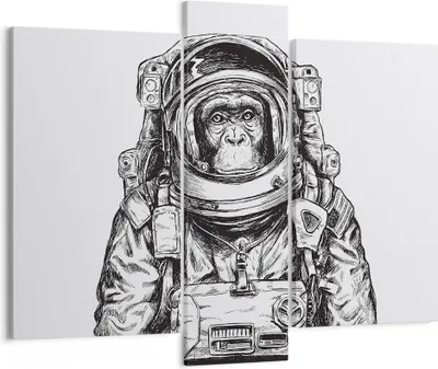 Produktbild von Bild auf Leinwand - Leinwandbild - 3 Teile - Schimpanse Astronaut Zeichnung - 95x80cm - Wand Bild - Wanddeko - Wandbilder - Leinwanddruck - Bilder - Wanddekoration - Leinwand bilder - CB95x80-4312