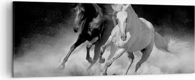 Produktbild von Bild auf Leinwand - Leinwandbild - Einteilig - Andalusier Pferde Galopp - 140x50cm - Wand Bild - Wanddeko - Wandbilder - Leinwanddruck - Bilder - Wanddekoration - Leinwand bilder - AB140x50-4240