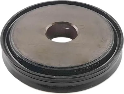 Image de Piston | 103241, 115927, 1291085, 1315312020, 5001843025, 81327390027, ZF 0501 324 670