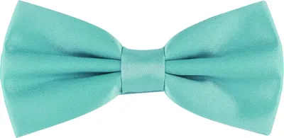 Produktbild von Ladeheid Kinder Jungen Fliege MJ (10cm x 5cm)