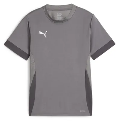 Produktbild von PUMA teamGOAL Matchday Jersey jr
