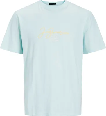 Image de Chemise homme JORARUBA Standard Fit 12255452 Skylight, L