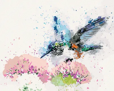 Produktbild von Diamondi - Diamond painting - GEMALTER KOLIBRI UND BLUMEN, 40X50 cm, mit Keilrahmen (bereits gespannt)