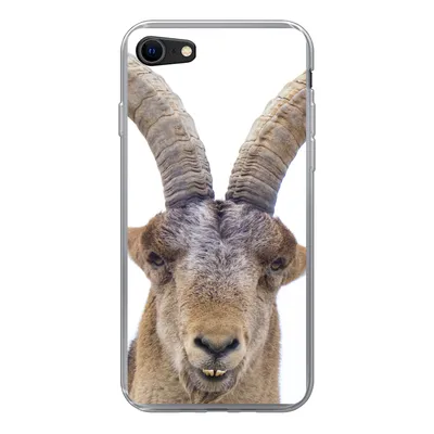 Produktbild von MuchoWow® Handyhülle Schutzhülle Hülle für iPhone SE 2020 Steinbock - Tiere - Hoorn Silikon Softcase Handy Hülle - Kartenbesitzer