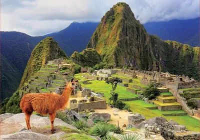 Zdjęcie produktu dla Educa - Układanka Machu Picchu 1000 elementów