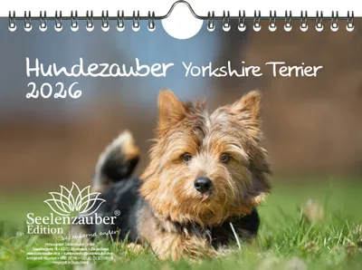 Produktbild von Hundezauber Yorkshire Terrier DIN A5 Kalender für 2026 Welpen und Hunde - Seelenzauber