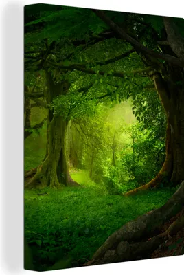 Produktbild von MuchoWow® - Leinwandbilder - Bäume - Wald - Grün - Landschaft - Natur, Wandbild, Wanddeko Bilder Wohnzimmer, 60x80cm