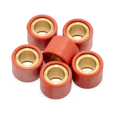 Immagine prodotto di Pesi per variatore LeoVince, rulli variatore 20 x 15 mm, 12,3 g, confezione da 6 pezzi