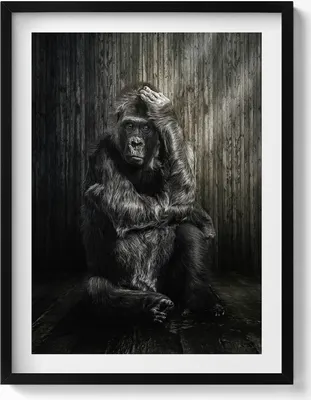Produktbild von Affe hockt im Schatten– Wandbild mit Rahmen – Gerahmtes Bild  – Wanddekoration – 60x80 cm –  Schwarz Rahmen