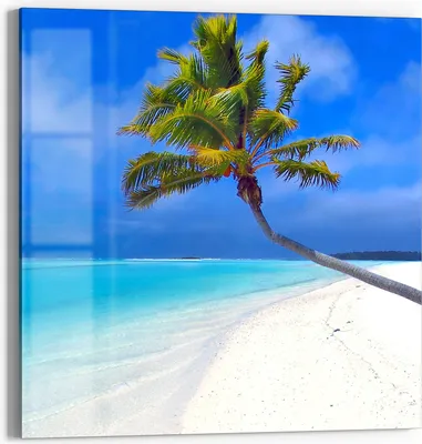 Produktbild von DEQORI Glasbild Echtglas 50x50 cm 'Inselparadies' Wandbild Bild modern Deko