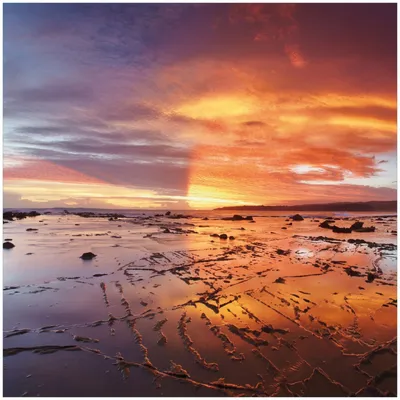 Produktbild von Wallario Memoboard Magnettafel aus Glas, Größe 50 x 50 cm, Motiv Wattwanderung am Meer bei Sonnenuntergang