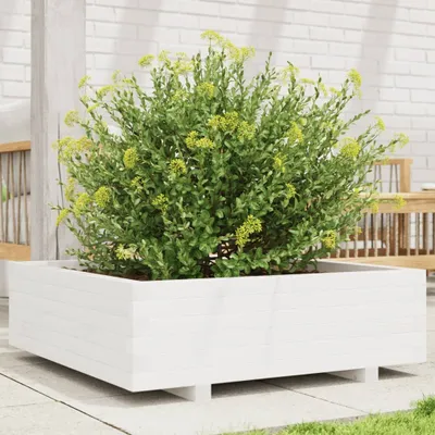 Produktbild von Design Pflanzkübel Weiß 80x80x26,5 cm Massivholz Kiefer, Gabionen 2024 Neu