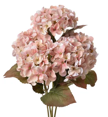 Imagen del producto de Clayre & Eef, flor artificial de hortensia, 44 cm, color rosa, de plástico