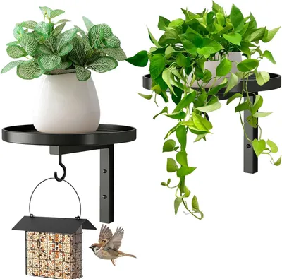 Imagen del producto de Soportes de pared para plantas, de metal , 2 unidades, con ganchos, para montaje en pared