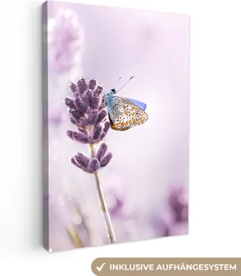 Produktbild von MuchoWow® - Leinwandbilder - Lavendel - Schmetterling - Nahaufnahme - Lila, Wandbild, Wanddeko Bilder Wohnzimmer, 20x30 cm