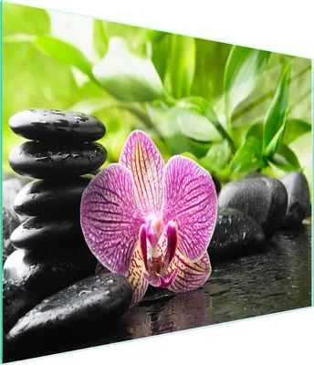 Produktbild von Glasschneidebrett 52x30 Orchidee