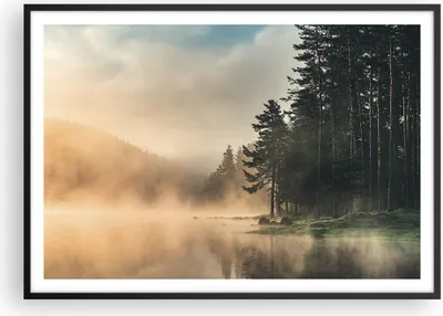 Produktbild von Gerahmtes Poster - Schwarzer Rahmen - Nebel See Wald - 100x70 cm - Wand Bild - Wanddeko - Wandbilder - Kunstposter - Wandposter - Bilderrahmen - Bilder - Kunstdruck - Wanddekoration - P2BAA100x70-4440