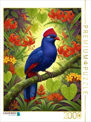 Produktbild von CALVENDO Puzzle Turako zwischen bunten Blüten | 2000 Teile Lege-Größe 90x67cm Foto-Puzzle für glückliche Stunden