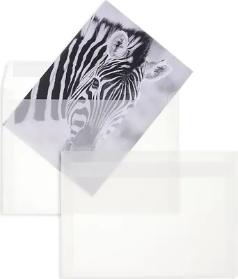 Produktbild von Transparente Briefumschläge - Weiß (Transparent-Weiß)162 x 229 mm (DIN C5) | 100 g/qm Offset | Ohne Fenster | Haftklebung | Gerade Klappe | 100 Stück