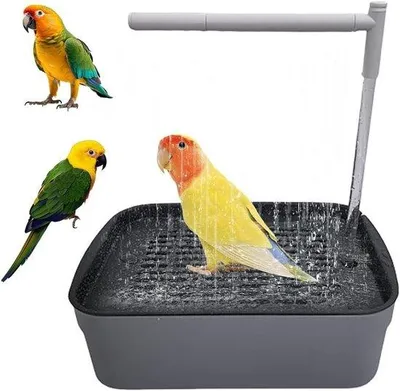 Produktbild von Automatisches Vogelbad mit Wasserzirkulation - 33 x 22 x 11 cm - Grau