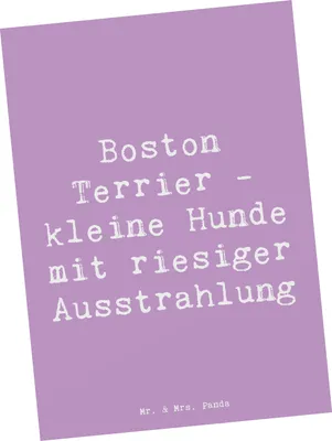 Produktbild von Mr. & Mrs. Panda Postkarte Spruch Boston Terrier - Lavendeltraum - Geschenk, Hunderassen, Fotokarte, wunderbare Begleiter, freche Lebensfreude, Hund, Hunderasse, Vielfalt