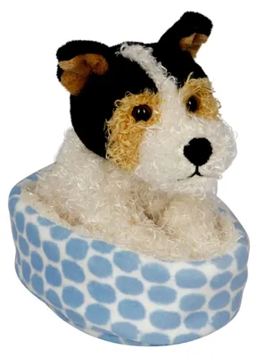 Produktbild von Foxterrier Boomer Im Korb - LustigeTier