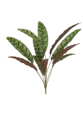 Immagine prodotto di Ramo artificiale di Calathea con 11 foglie verde bordeaux H. 70 cm Emerald