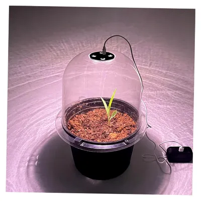 Produktbild von 3 Stück Luftfeuchtigkeitskuppeln für Pflanzen, 10 x 7,9 cm, durchsichtige Kunststoff-Pflanzenglockenabdeckung, wiederverwendbares Mini-Gewächshaus für den Außenbereich