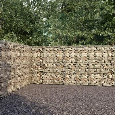 Image de vidaXL Mur de gabions avec couverture Acier galvanisé 600×30×200 cm