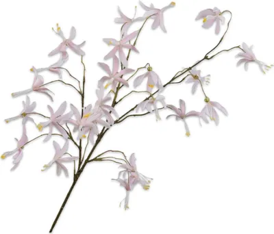 Produktbild von Kunstblume von Silk-ka – Orchideenzweig aus Seide, cremefarben, 99 cm
