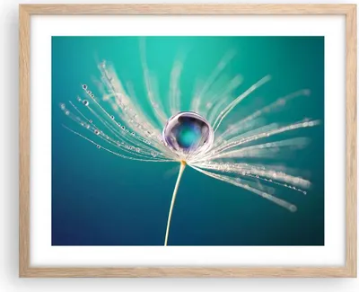 Produktbild von Gerahmtes Poster - Rahmen in heller Eiche - Pflanze Natur - 50x40 cm - Wand Bild - Wanddeko - Wandbilder - Kunstposter - Wandposter - Bilderrahmen - Bilder - Kunstdruck - Wandbild - P2NAA50x40-3991