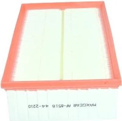 Image de Filtre À Air Citroën C5/C6/407 3,0 Hdi 09-